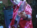 2016-os fellépések